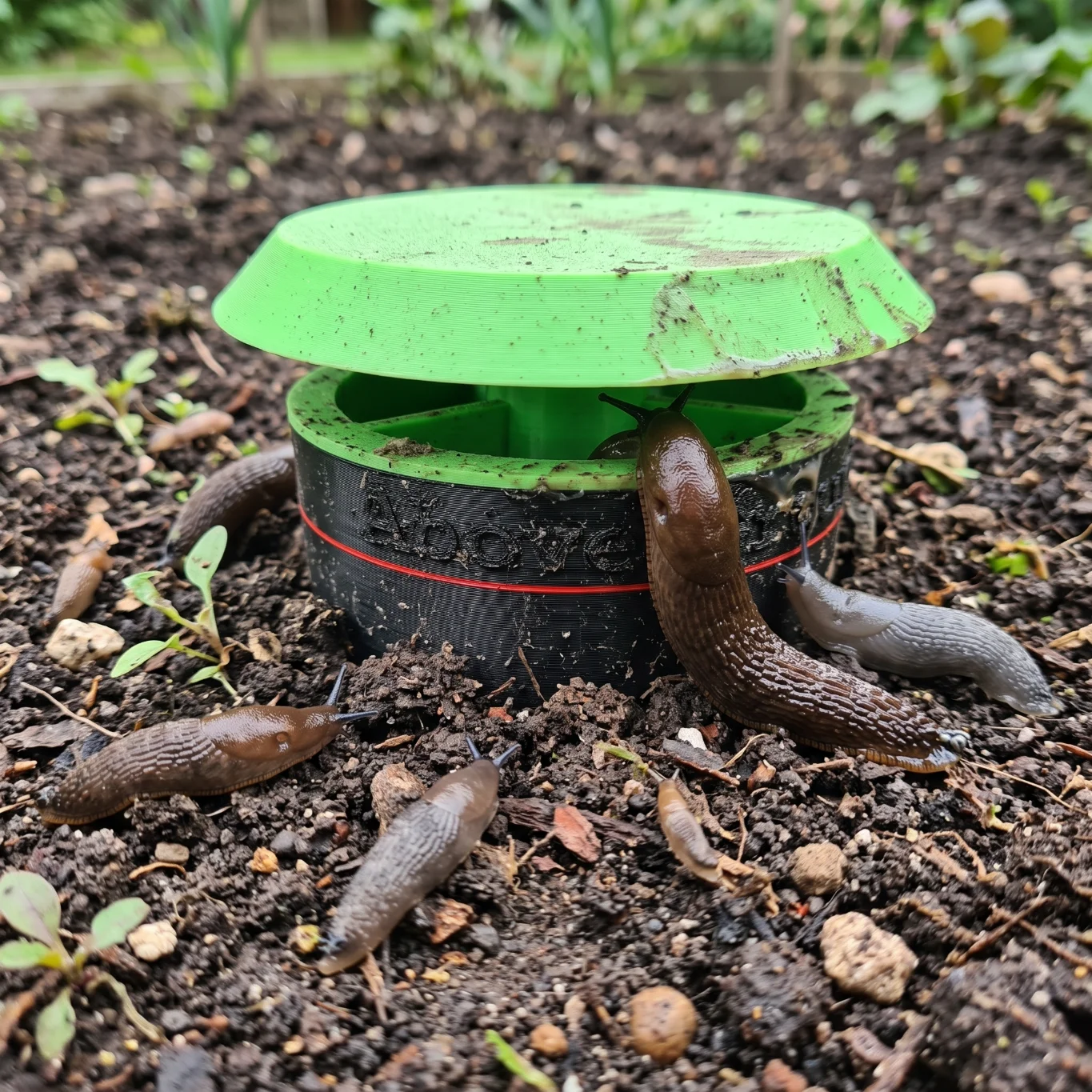 Poison-free in-ground slug and snail trap that uses liquid bait, such as beer, to attract and drown garden pests.