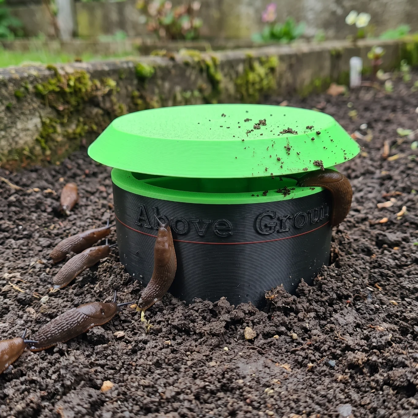 EcoTrap mürgivaba nälkjapüünis